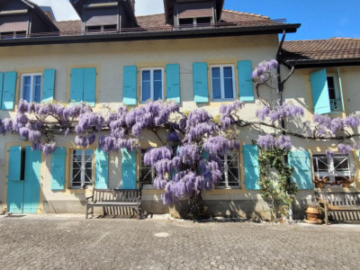 Maison de village pleine de charme avec cachet unique image 3