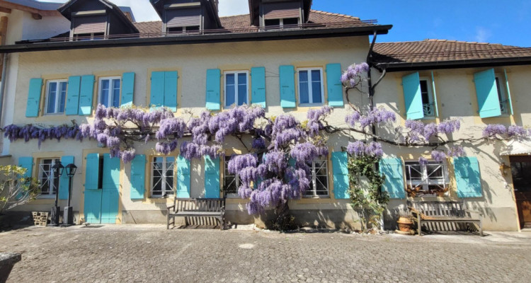 Maison de village pleine de charme avec cachet unique image 3