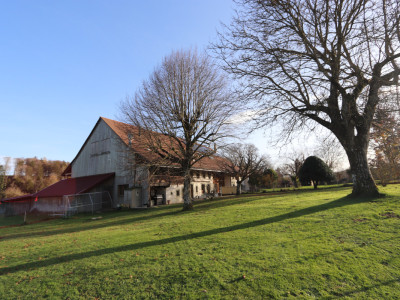 Ferme d’habitation mitoyenne de 5.5 pièces avec loft de 106 m2 image 3