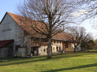 Ferme d’habitation mitoyenne de 5.5 pièces avec loft de 106 m2 image 4