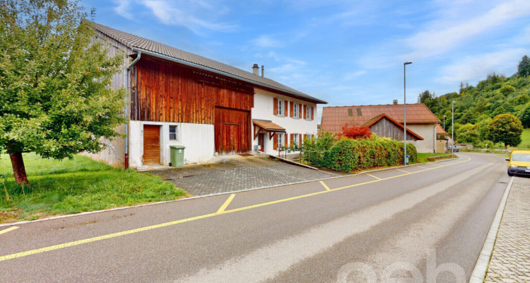 Authentique ferme du 19e siècle aux grands volumes et potentiel! image 1