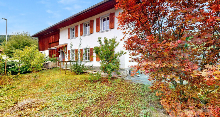 Authentique ferme du 19e siècle aux grands volumes et potentiel! image 2