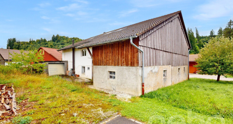 Authentique ferme du 19e siècle aux grands volumes et potentiel! image 4