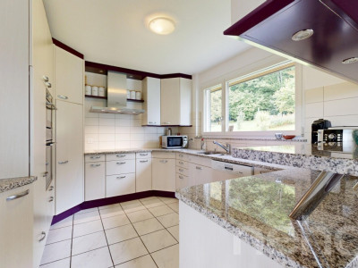 Wohnen am Waldrand mit Hallenbad, Wintergarten und Weitsicht image 8