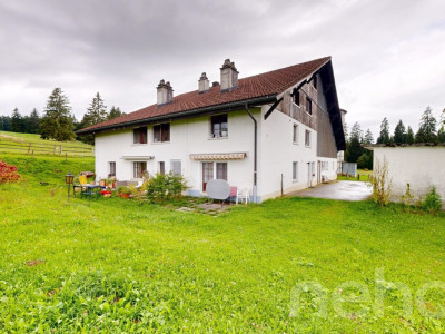 Idyllische Wohnung + Studio ideal für Pferdeliebhaber image 12