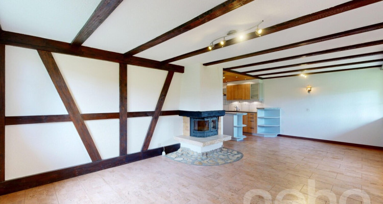 Idyllische Wohnung + Studio ideal für Pferdeliebhaber image 1