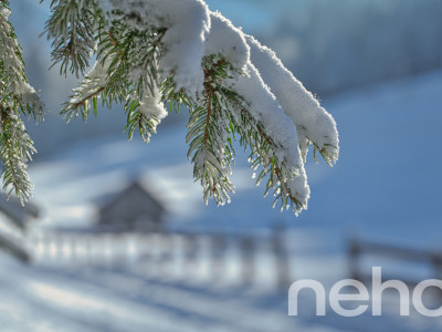 Opportunité pour un projet en résidence secondaire image 2