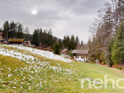 Opportunité pour un projet en résidence secondaire image 3