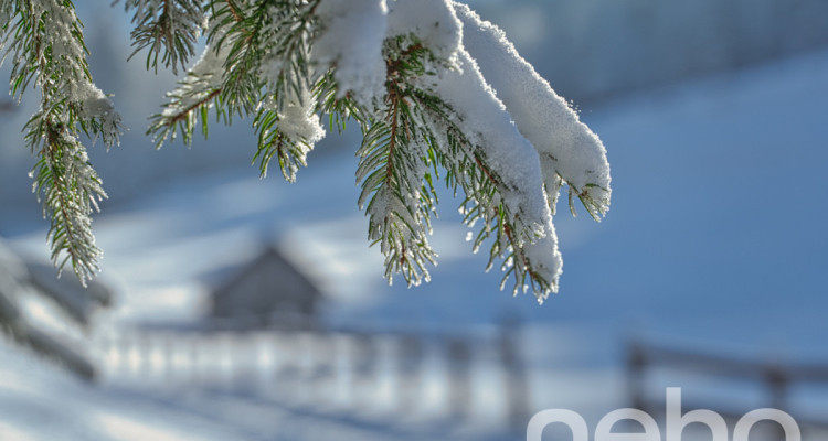 Opportunité pour un projet en résidence secondaire image 2