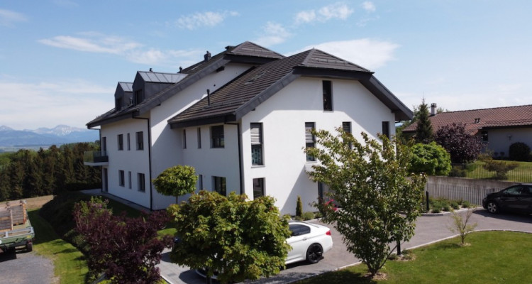 Splendide 4,5 pièces de standing avec dégagement et jardin image 11