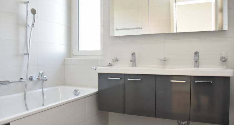 Splendide 4,5 pièces de standing avec dégagement et jardin image 5