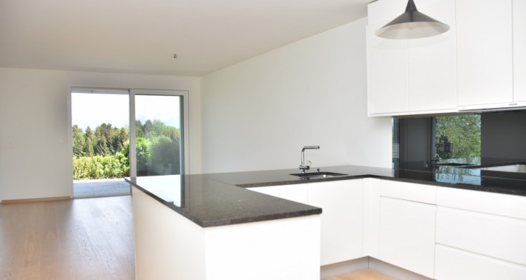 Splendide 4,5 pièces de standing avec dégagement et jardin image 3