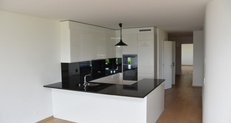 Splendide 4,5 pièces de standing avec dégagement et jardin image 2