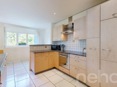 Splendide maison familiale avec grands volumes et jardin exposé sud! image 5