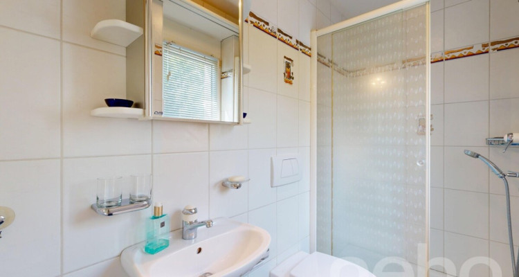 Splendide maison familiale avec grands volumes et jardin exposé sud! image 10