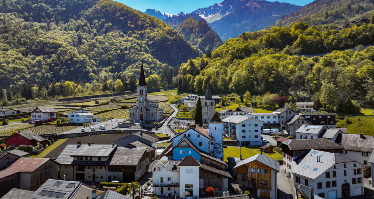 APPARTEMENT AVEC CACHET AU CENTRE-VILLE image 7