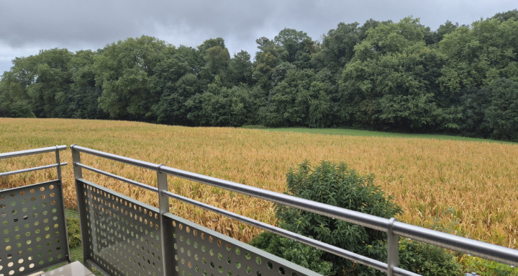 Appartement lumineux de 132 m² au cœur des vignes, avec dégagement sur le lac image 1