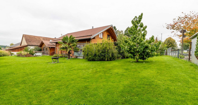 Familienidylle mit viel Platz und grossem Garten image 1