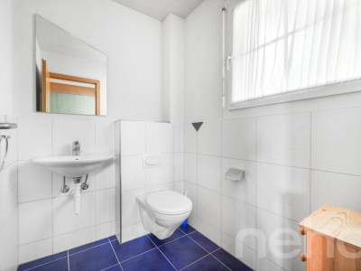 Lichtdurchflutetes Zuhause mit Galerie, Schwedenofen und Gartenidylle image 8