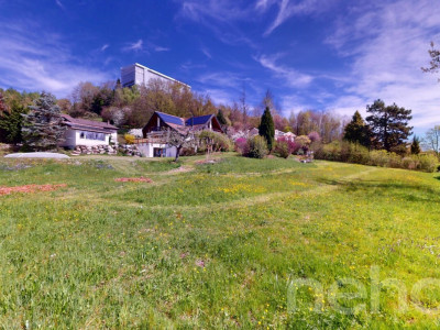 Magnifique parcelle pour villa individuelle ou jumelles à Epalinges image 12