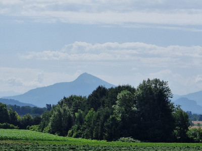 Authentique Duplex & Jardin, Presinge image 12