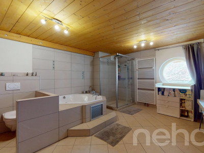 Magnifique duplex avec jardin image 7