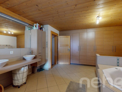 Magnifique duplex avec jardin image 8