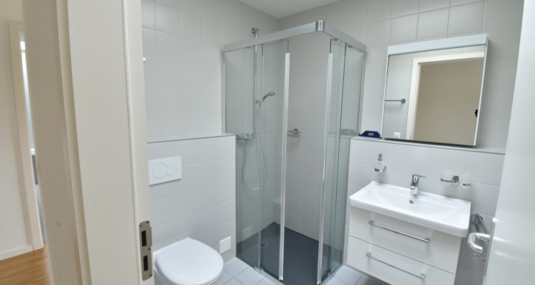 Magnifique appartement en attique de 150m2 avec ascenseur privatif image 13