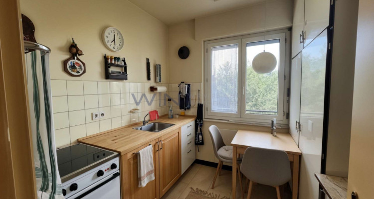 Ruhige SEE Sicht image 6