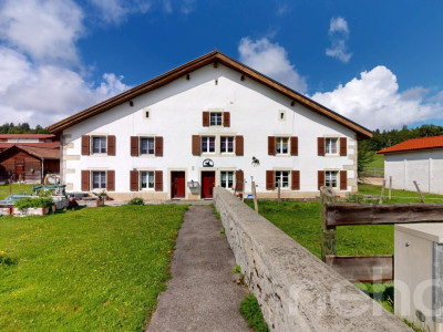 Grande ferme idéale pour les amoureux de chevaux image 2