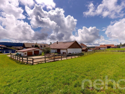 Grande ferme idéale pour les amoureux de chevaux image 3