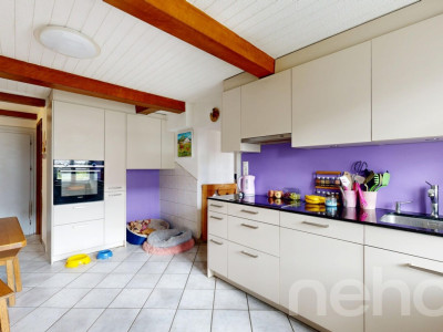 Grande ferme idéale pour les amoureux de chevaux image 1