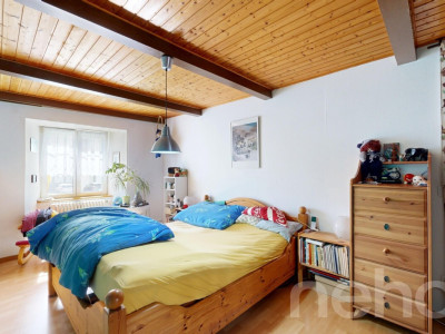 Grande ferme idéale pour les amoureux de chevaux image 8