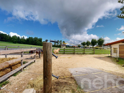 Grande ferme idéale pour les amoureux de chevaux image 9
