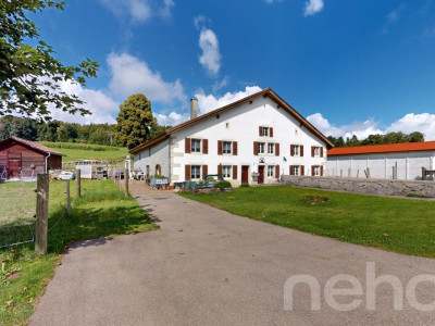 Grande ferme idéale pour les amoureux de chevaux image 11