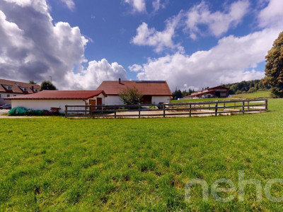 Grande ferme idéale pour les amoureux de chevaux image 12
