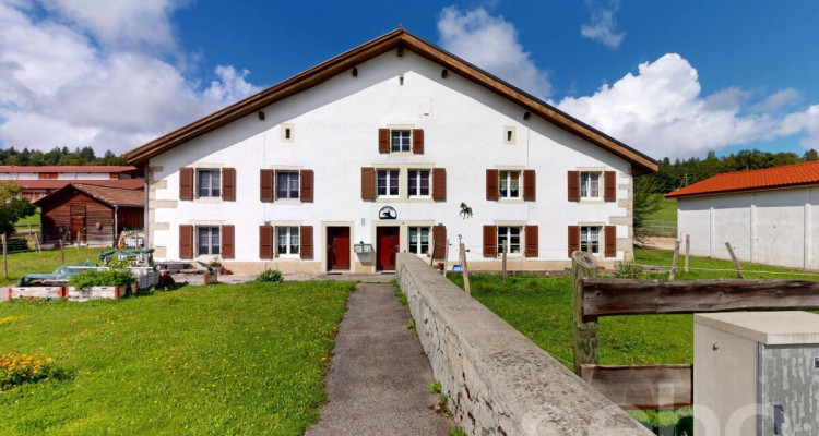 Grande ferme idéale pour les amoureux de chevaux image 2