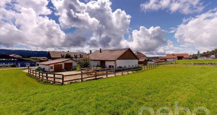 Grande ferme idéale pour les amoureux de chevaux image 3
