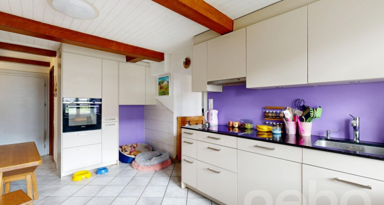 Grande ferme idéale pour les amoureux de chevaux image 1