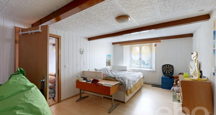 Grande ferme idéale pour les amoureux de chevaux image 7