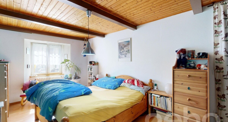 Grande ferme idéale pour les amoureux de chevaux image 8