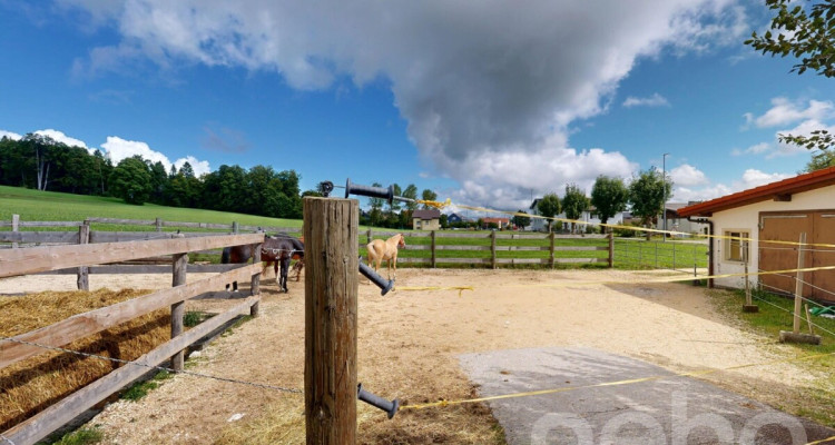 Grande ferme idéale pour les amoureux de chevaux image 9