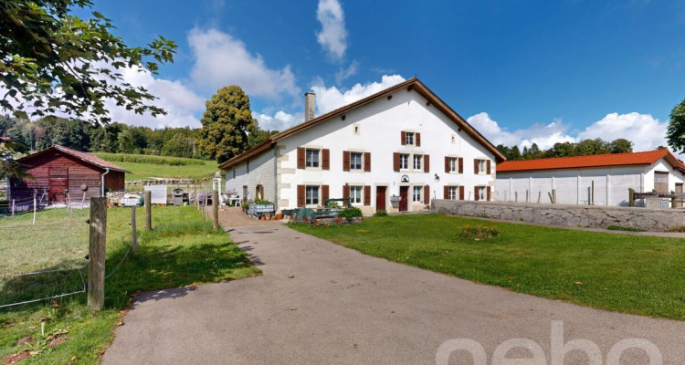 Grande ferme idéale pour les amoureux de chevaux image 11