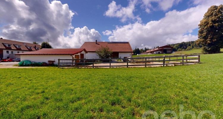Grande ferme idéale pour les amoureux de chevaux image 12
