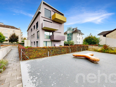 Appartement 2,5 pièces - Dernier étage - Quartier calme/Centre ville image 11