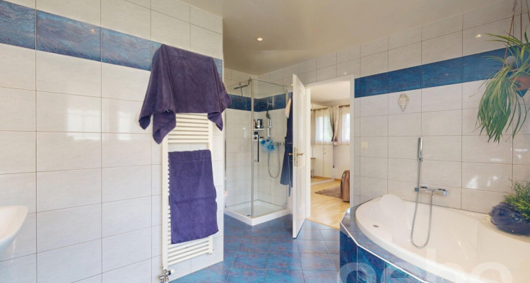 Maison d?exception, vaste jardin et parcelle constructible ! image 8