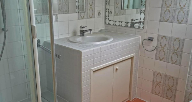 Maison individuelle de 6.5 pièces avec terrasse et jardin image 7