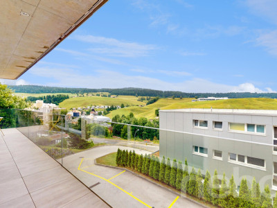 Splendide 5.5 pièce au Locle avec une grande terrasse image 12