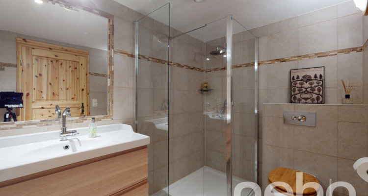 Spacieux duplex de 5,5 pièces - grand jardin - Illarsaz image 9