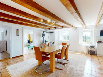 Appartement 4.5 pièces rénové avec cachet et jardins partagés image 3